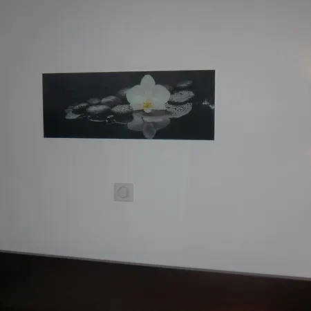 Hotel Le Ponceau Beaurepaire (Isere)